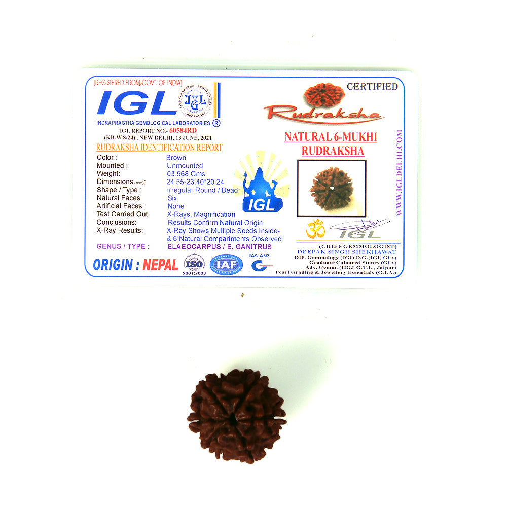 6 Mukhi