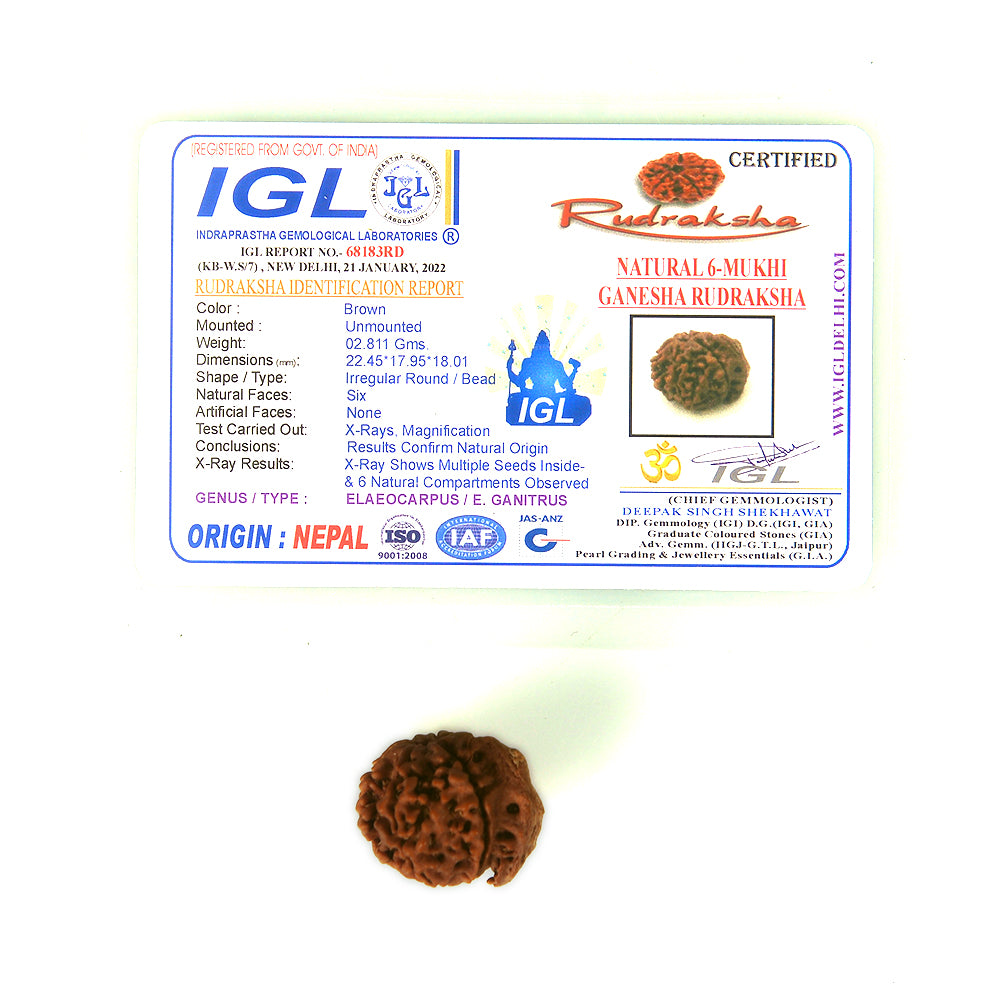 6 Mukhi