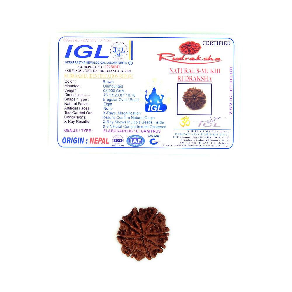 8 Mukhi