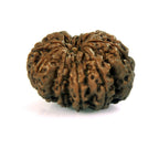 9 Mukhi