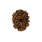 10-Mukhi