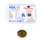 13 Mukhi