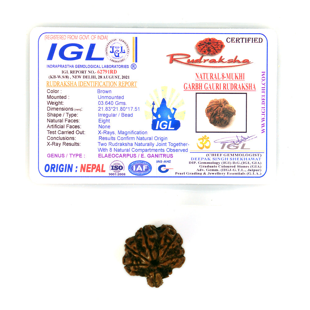 8 Mukhi Garbh Gauri