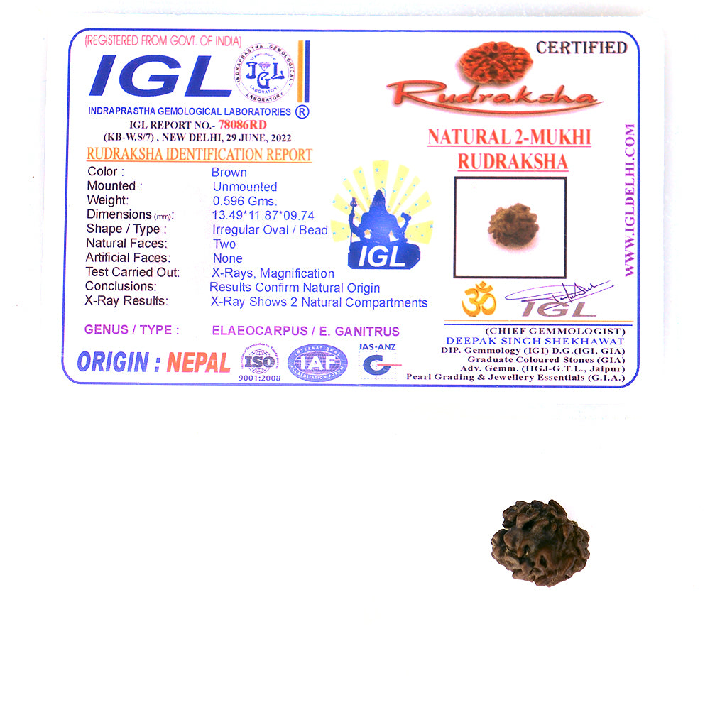 2 Mukhi