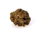 2 Mukhi