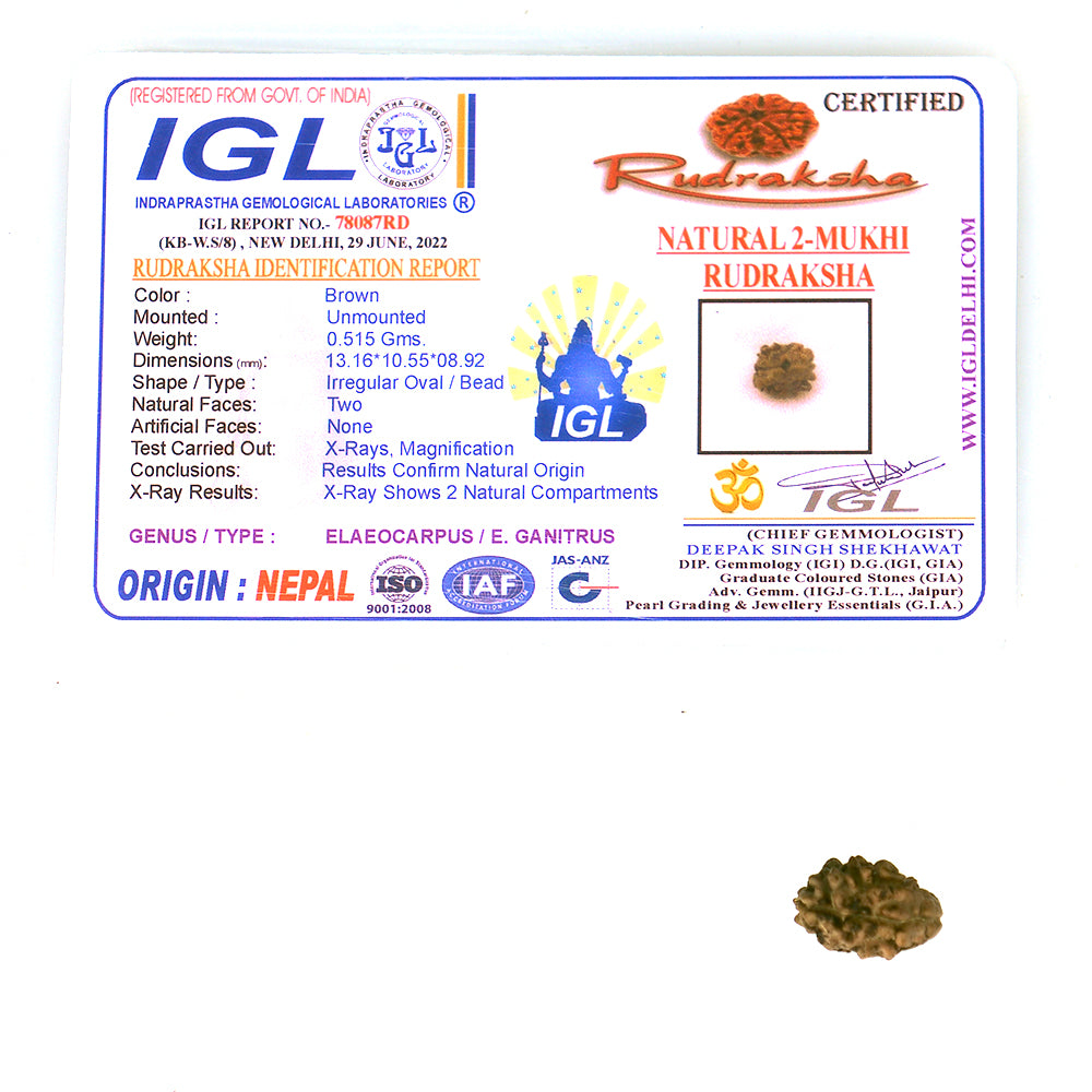 2 Mukhi