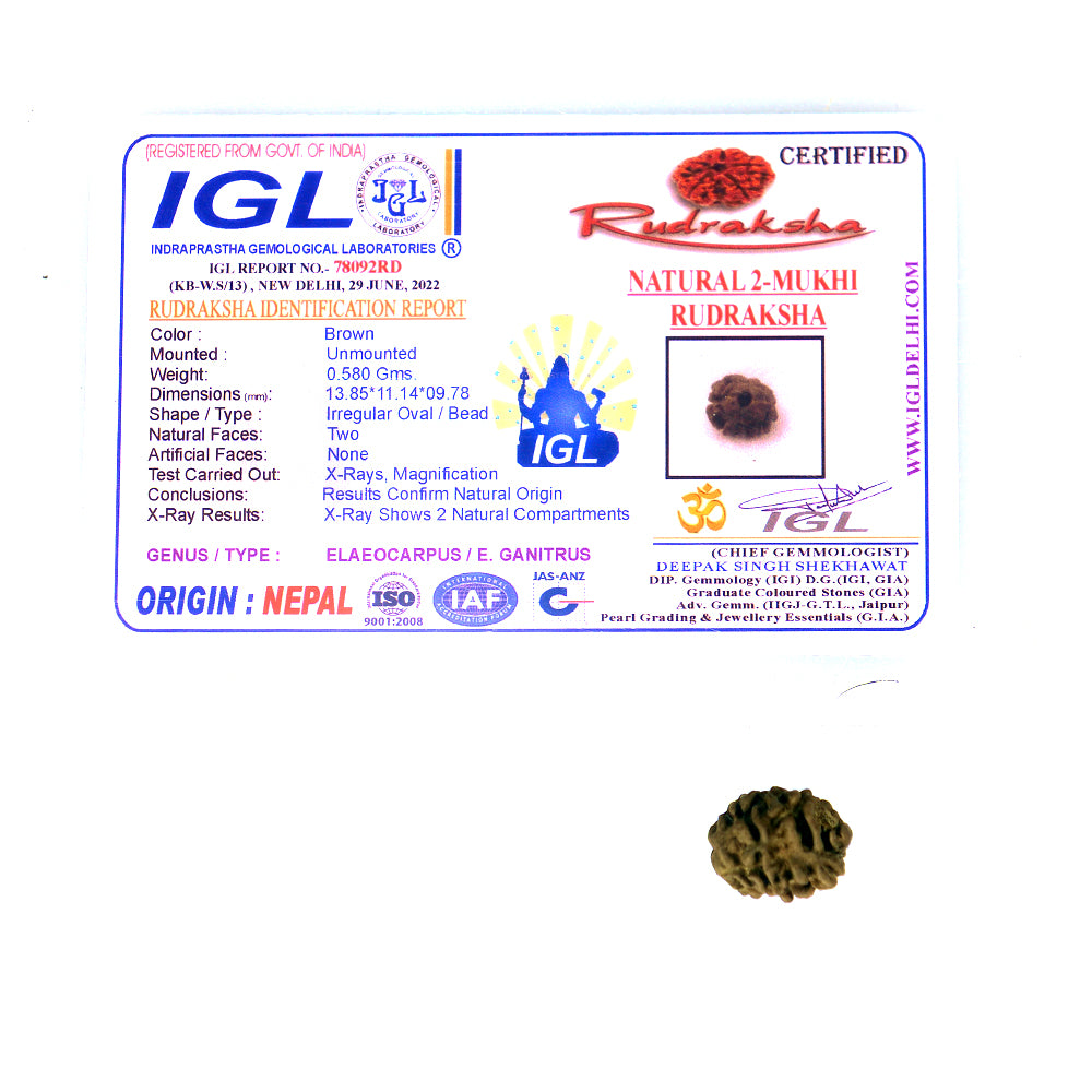 2 Mukhi