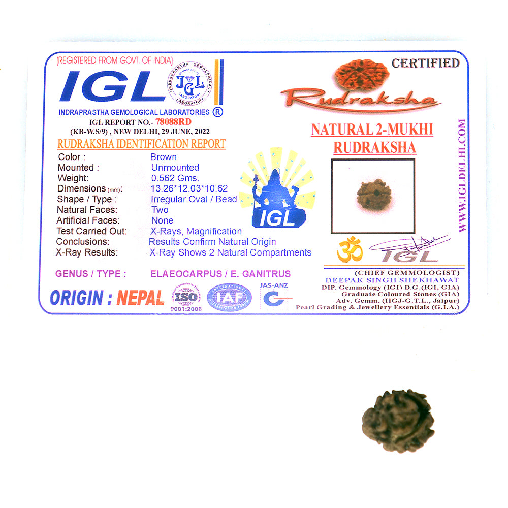 2 Mukhi