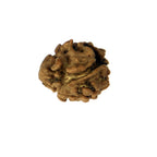 2 Mukhi