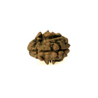 2 Mukhi