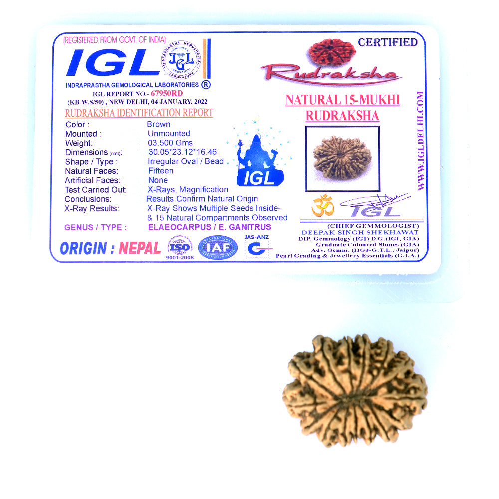 15 Mukhi