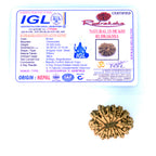 15 Mukhi
