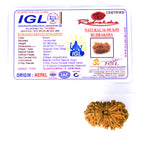 16 Mukhi