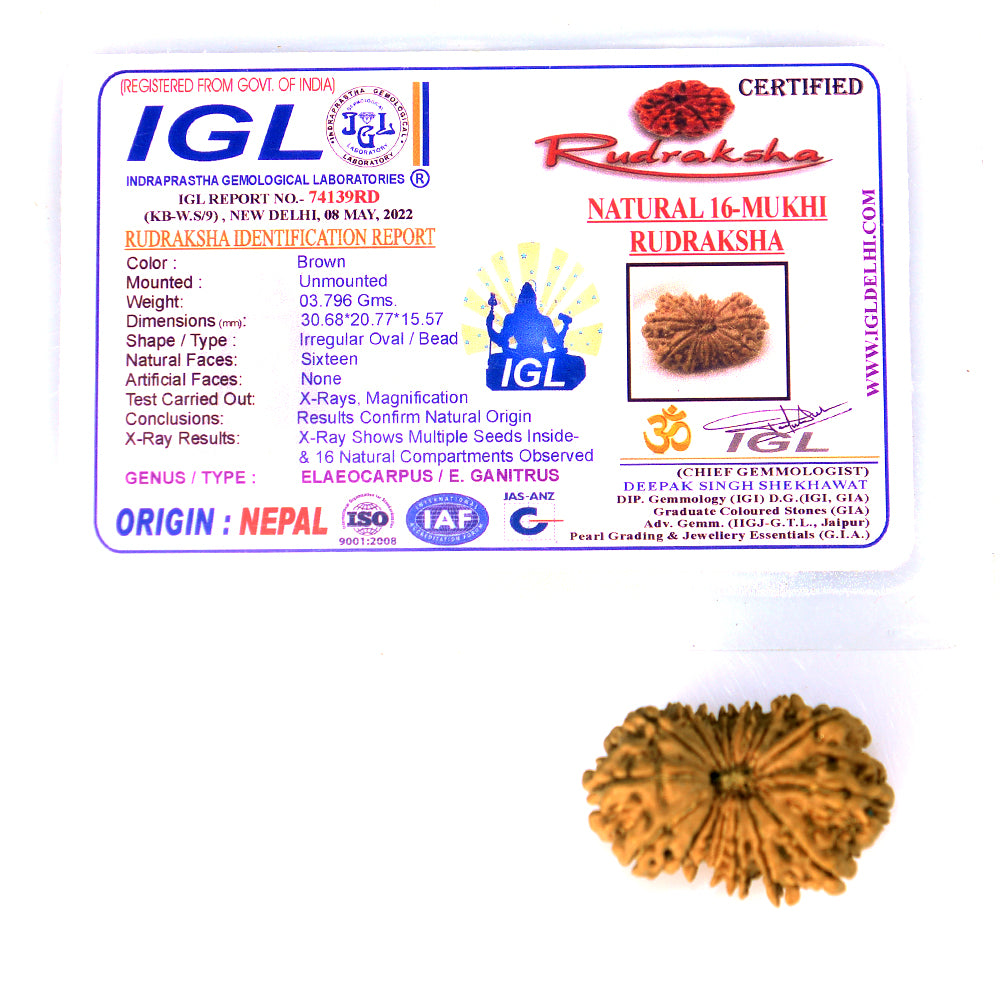 16 Mukhi
