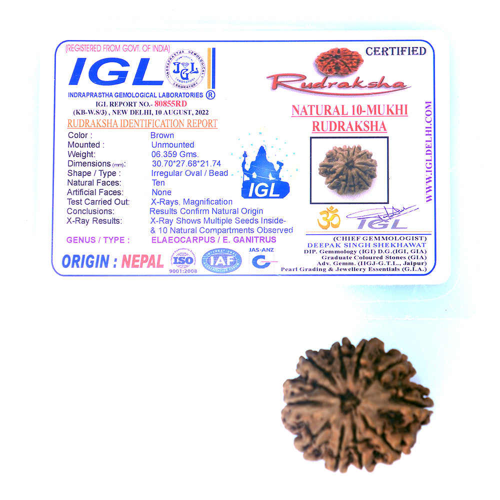 10-Mukhi