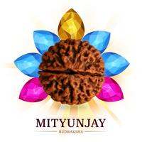 Logo icon