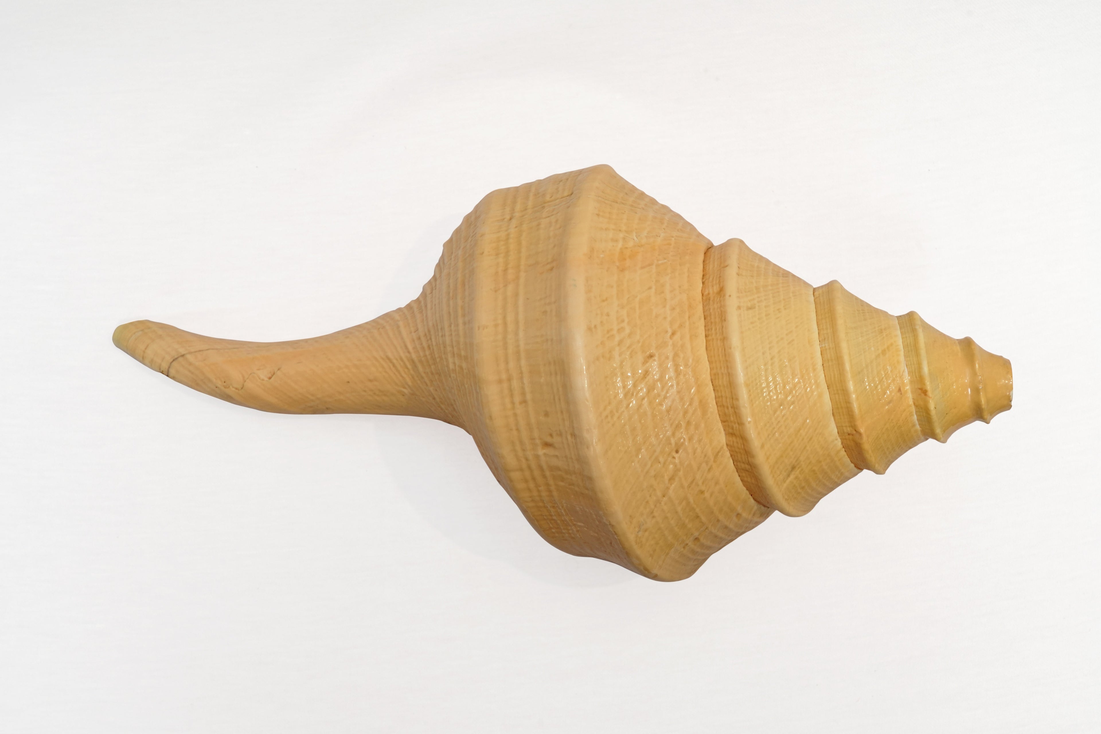 Narayan Shankh 1