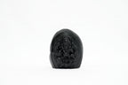 Shaligram Ganesh Murti 1