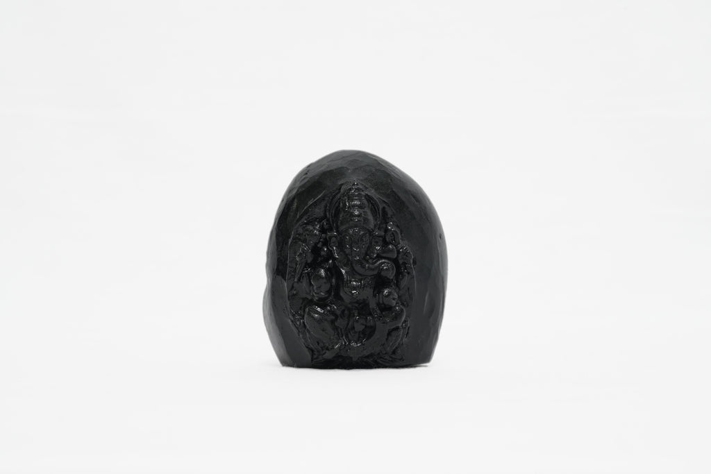Shaligram Ganesh Murti 1