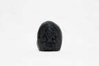 Shaligram Ganesh Murti 1