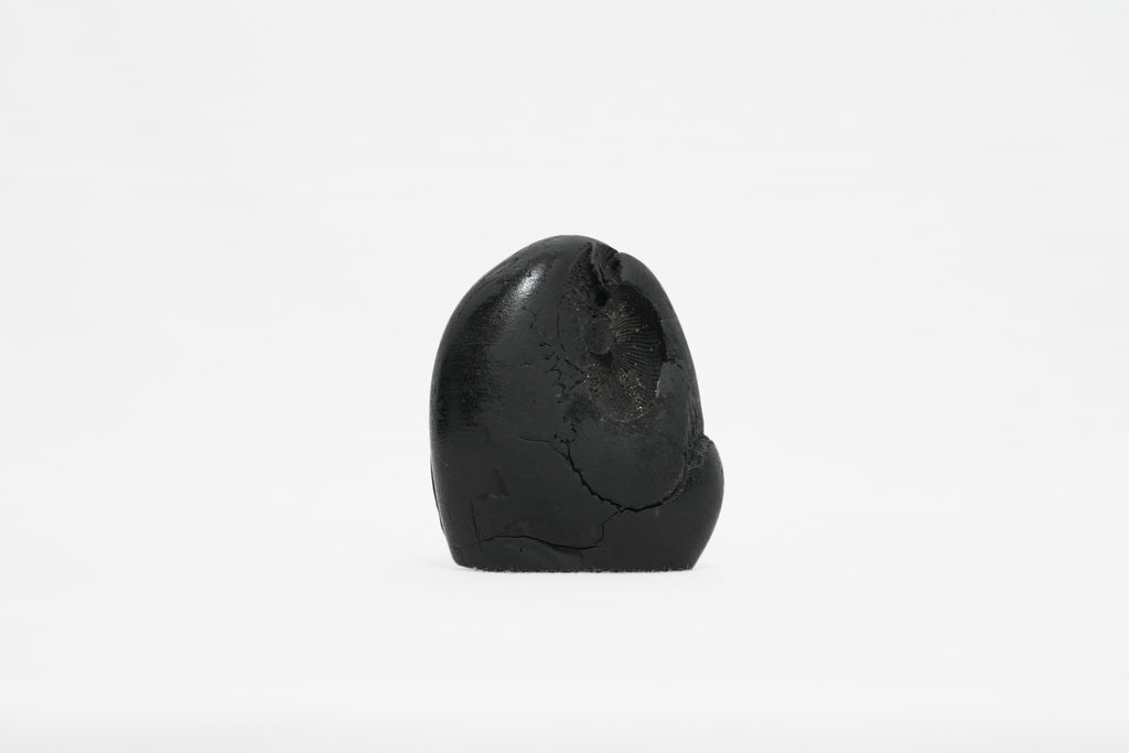 Shaligram Ganesh Murti 1
