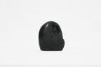 Shaligram Ganesh Murti 1