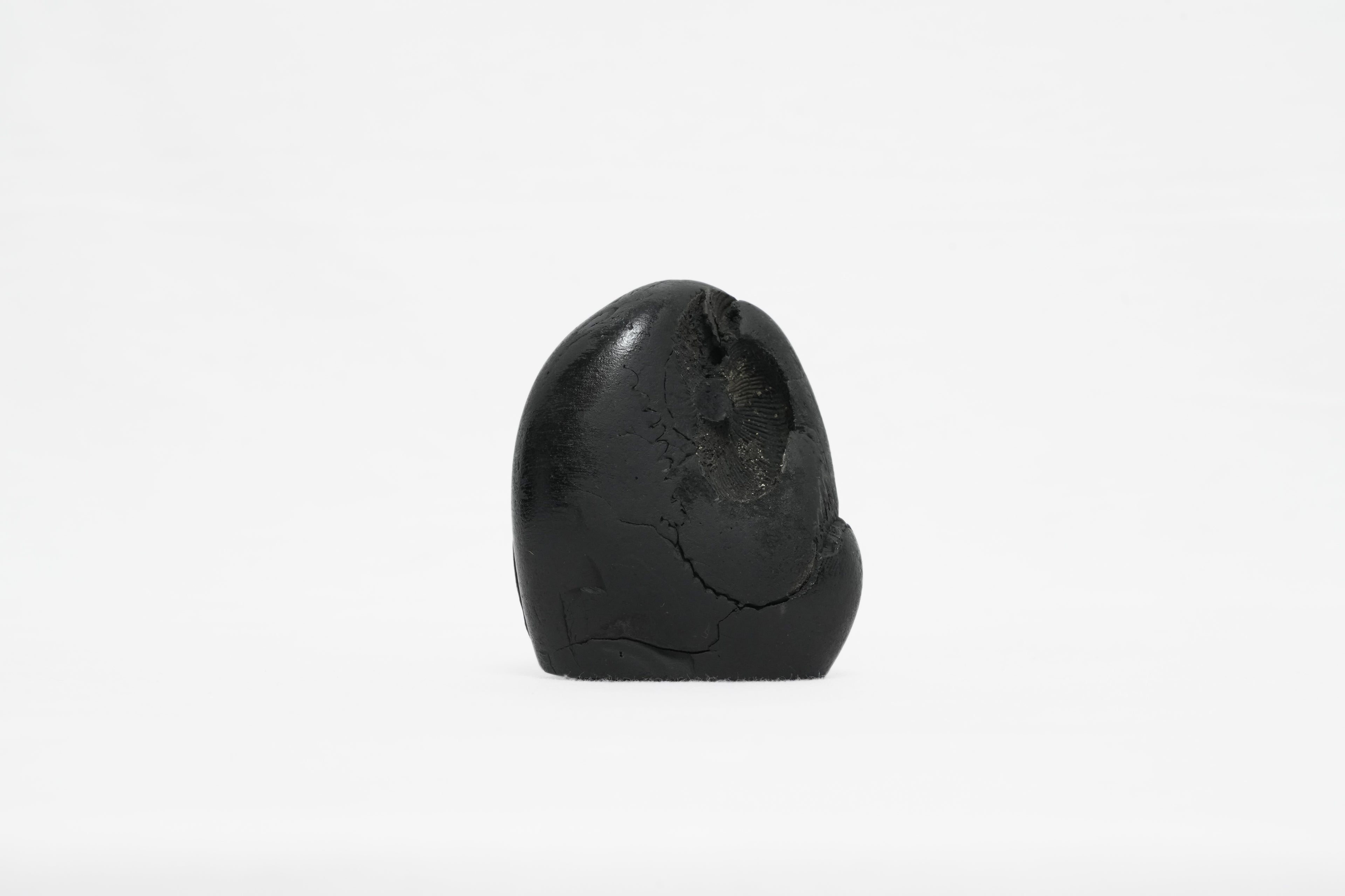 Shaligram Ganesh Murti 1