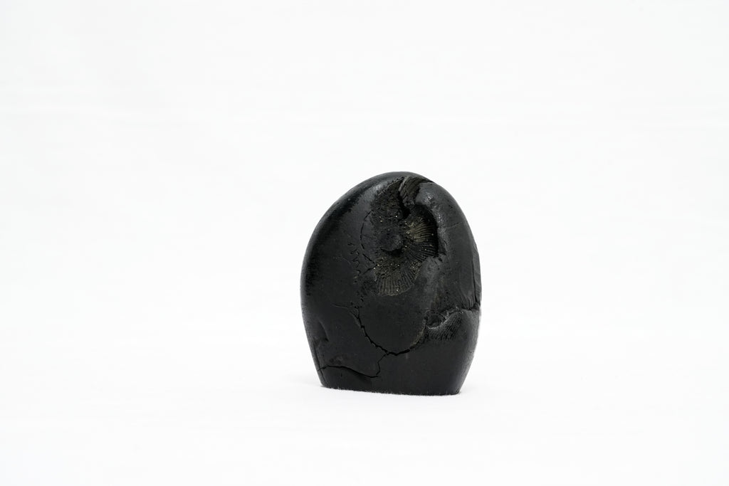 Shaligram Ganesh Murti 1