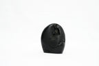 Shaligram Ganesh Murti 1