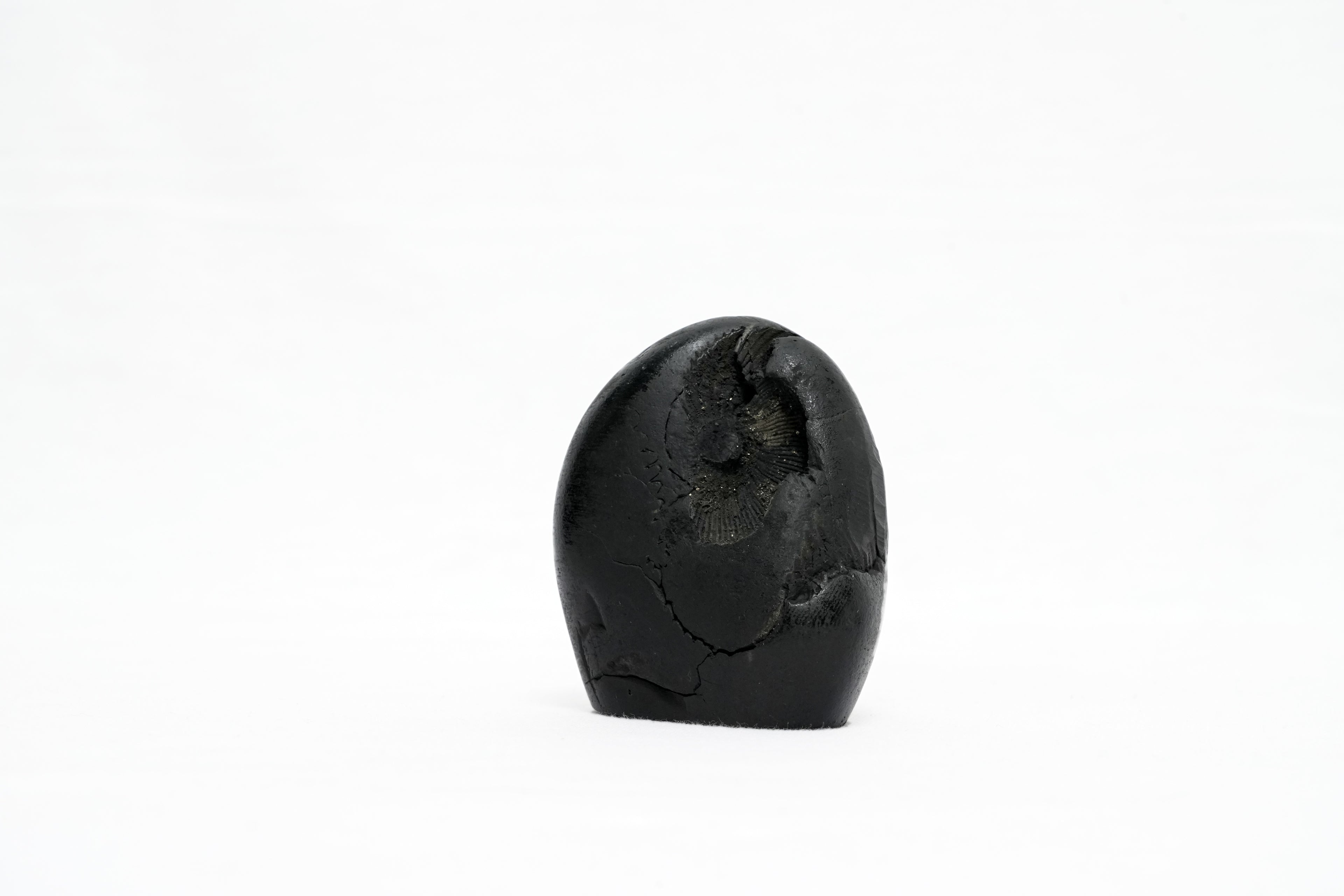 Shaligram Ganesh Murti 1