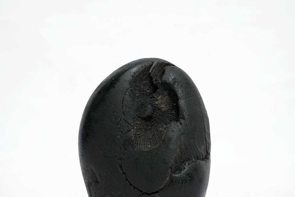 Shaligram Ganesh Murti 1