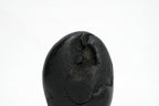 Shaligram Ganesh Murti 1