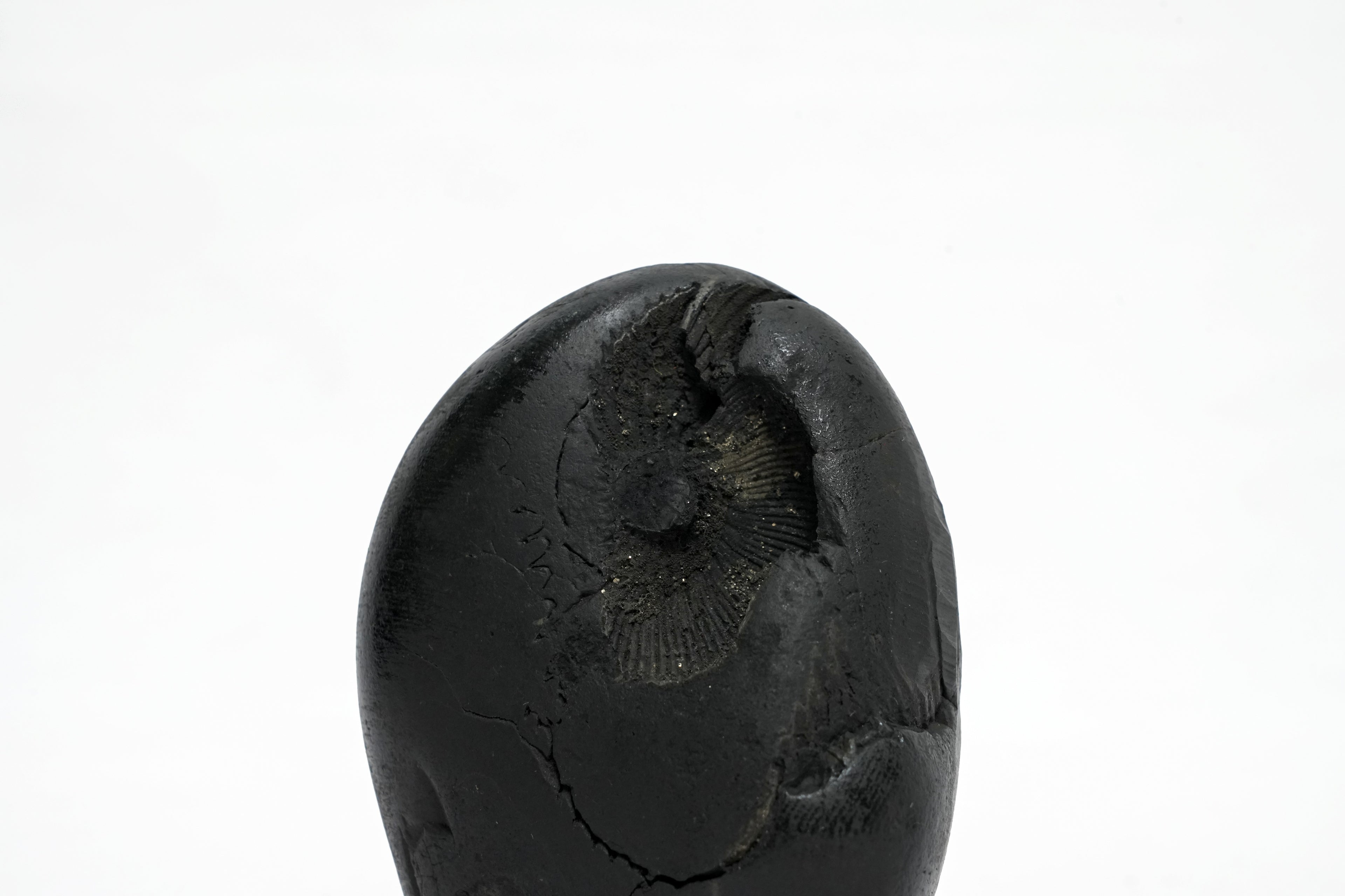 Shaligram Ganesh Murti 1