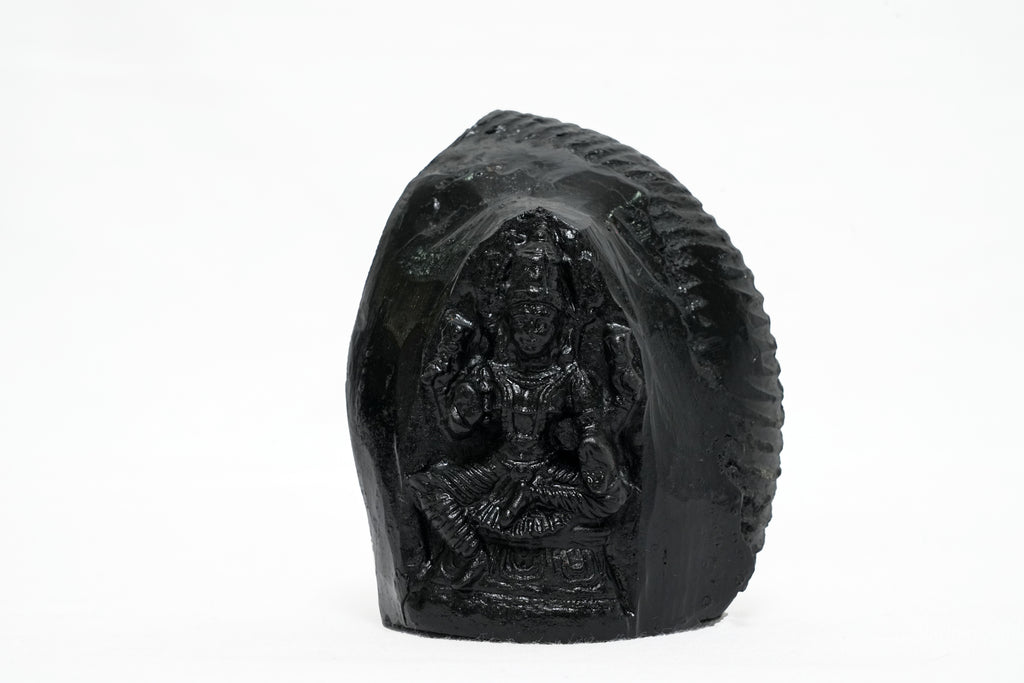 Shaligram Vishnu Murti 1