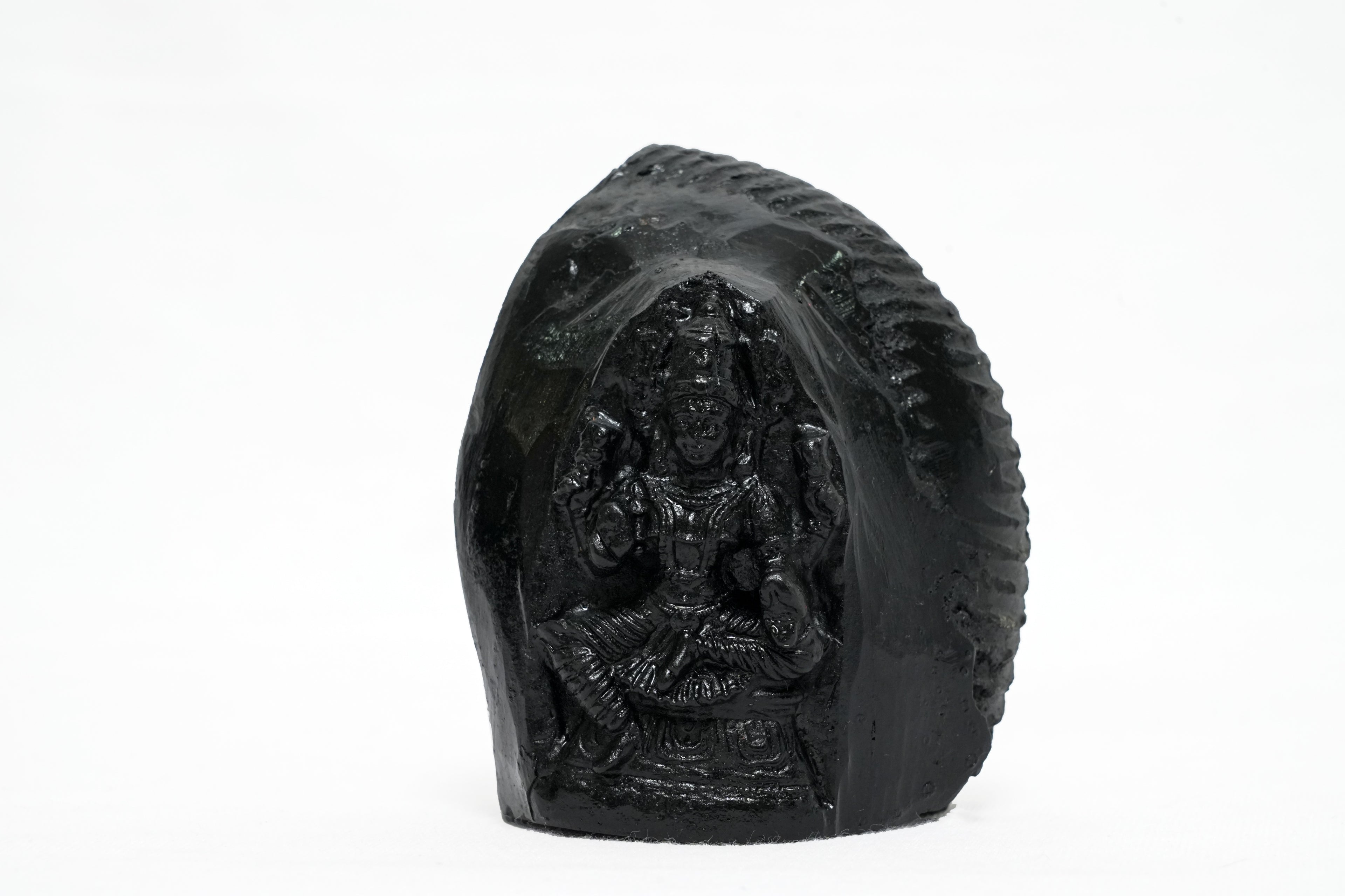 Shaligram Vishnu Murti 1