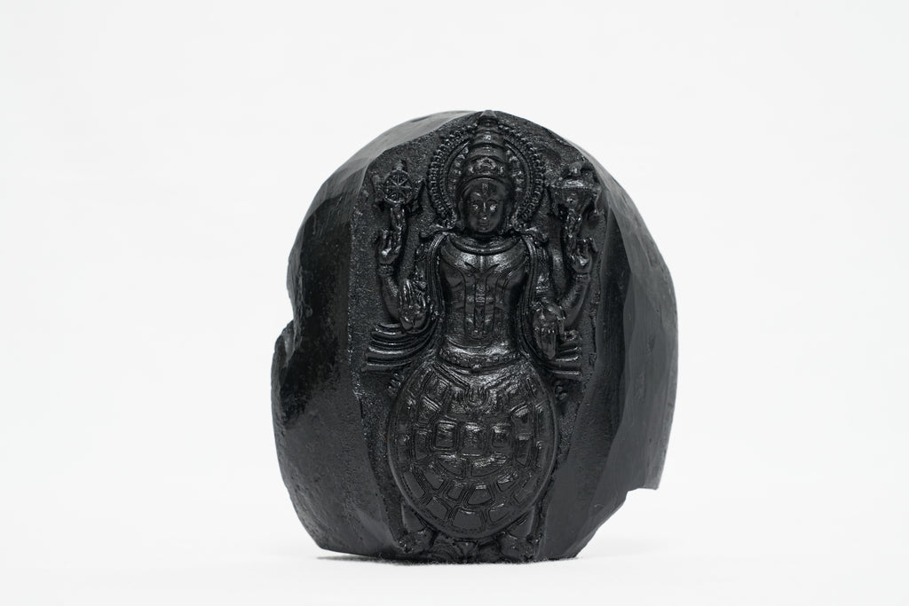 Shaligram Vishnu Murti 1