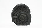 Shaligram Vishnu Kashyap 1