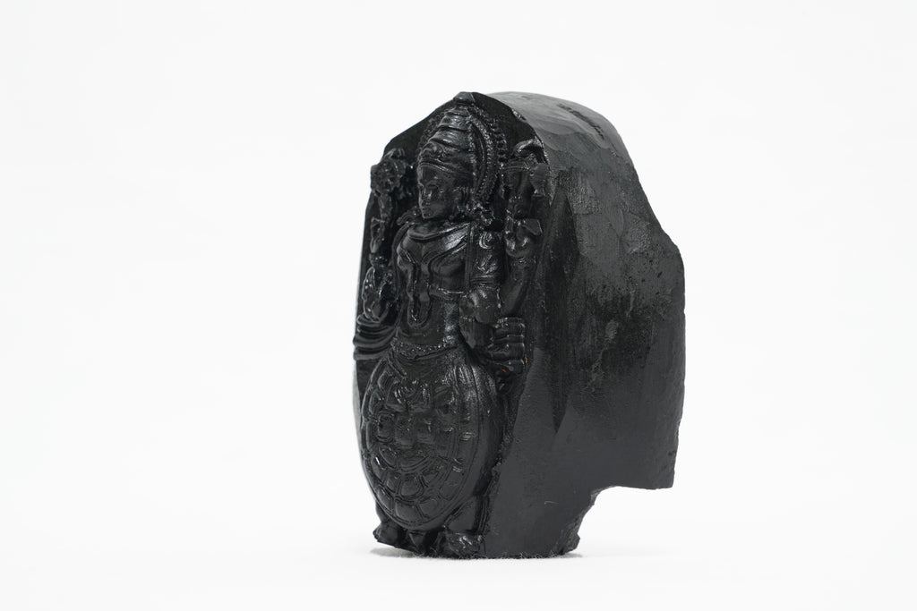 Shaligram Vishnu Murti 1