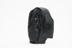 Shaligram Vishnu Murti 1