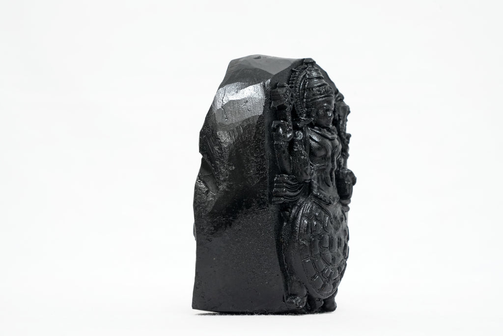 Shaligram Vishnu Murti 1