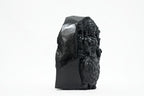 Shaligram Vishnu Murti 1